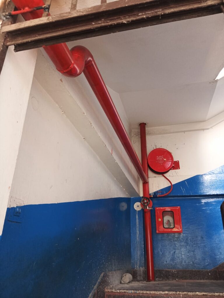 WhatsApp Image 2025-09-15 at 14.55.36